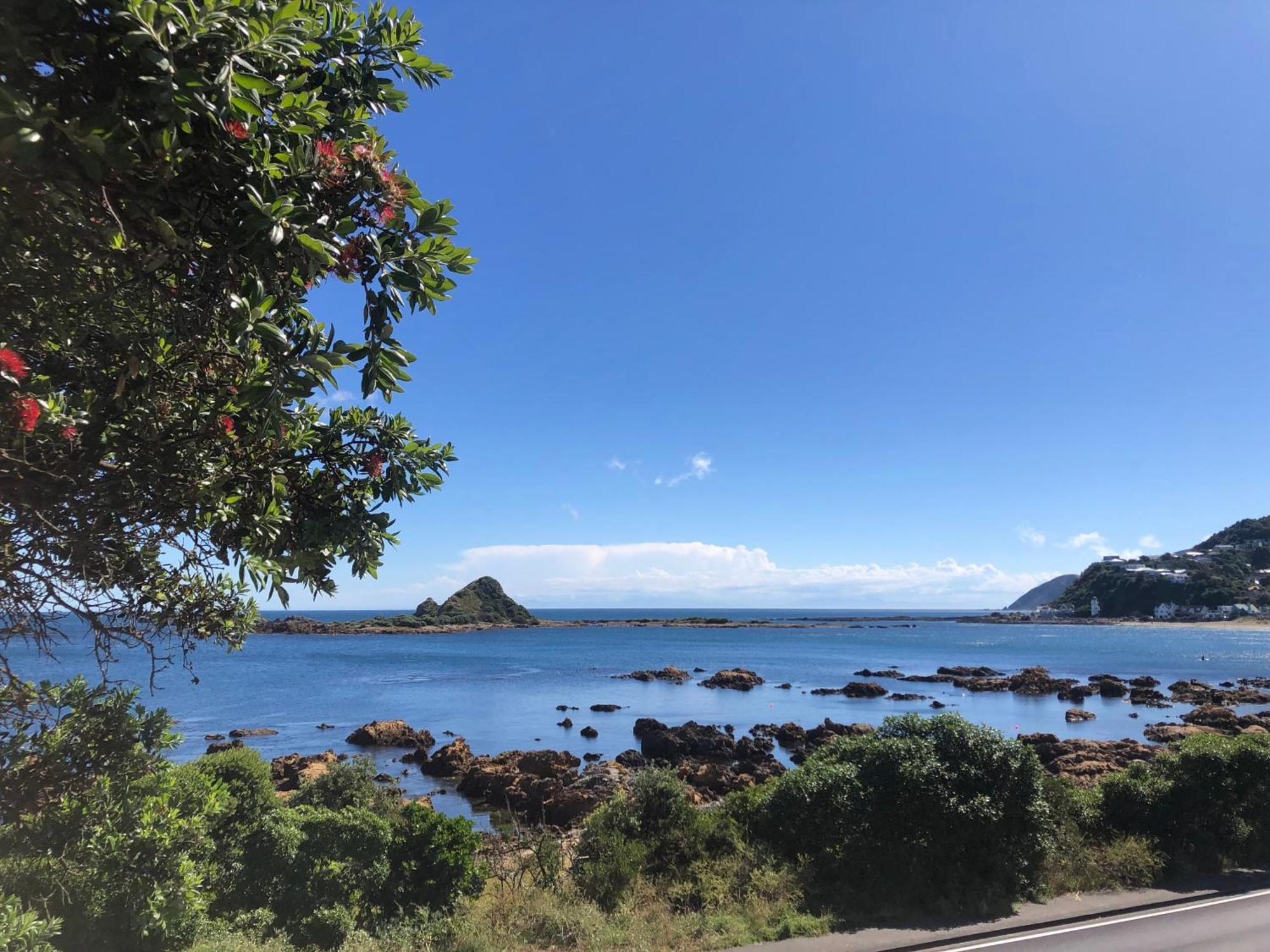 Apartamento Seafront Haven In Island Bay With Deck, Outdoor Bath, And Parking Wellington Exterior foto
